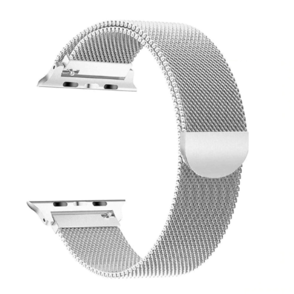 Apple Silver Mesh Watch Band